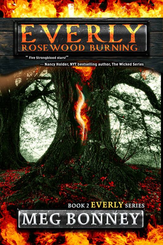 ROSEWOOD BURNING: Everly Series Book 2